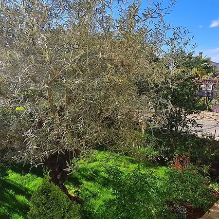 Boris Apartment Porec