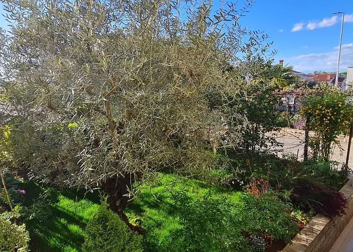 Boris 아파트 포레치