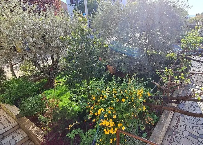 Boris Διαμέρισμα