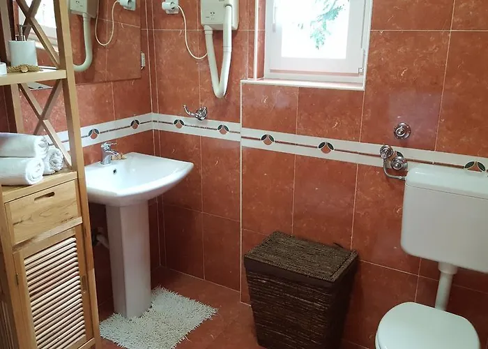 公寓 鲍里斯公寓 *