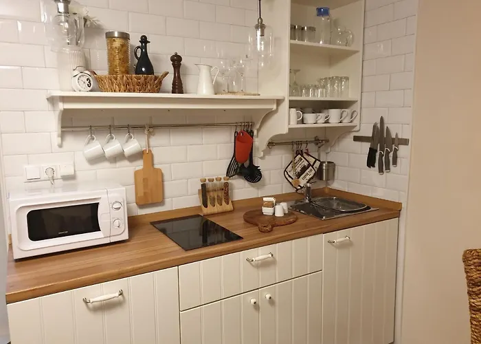 Διαμέρισμα Boris *